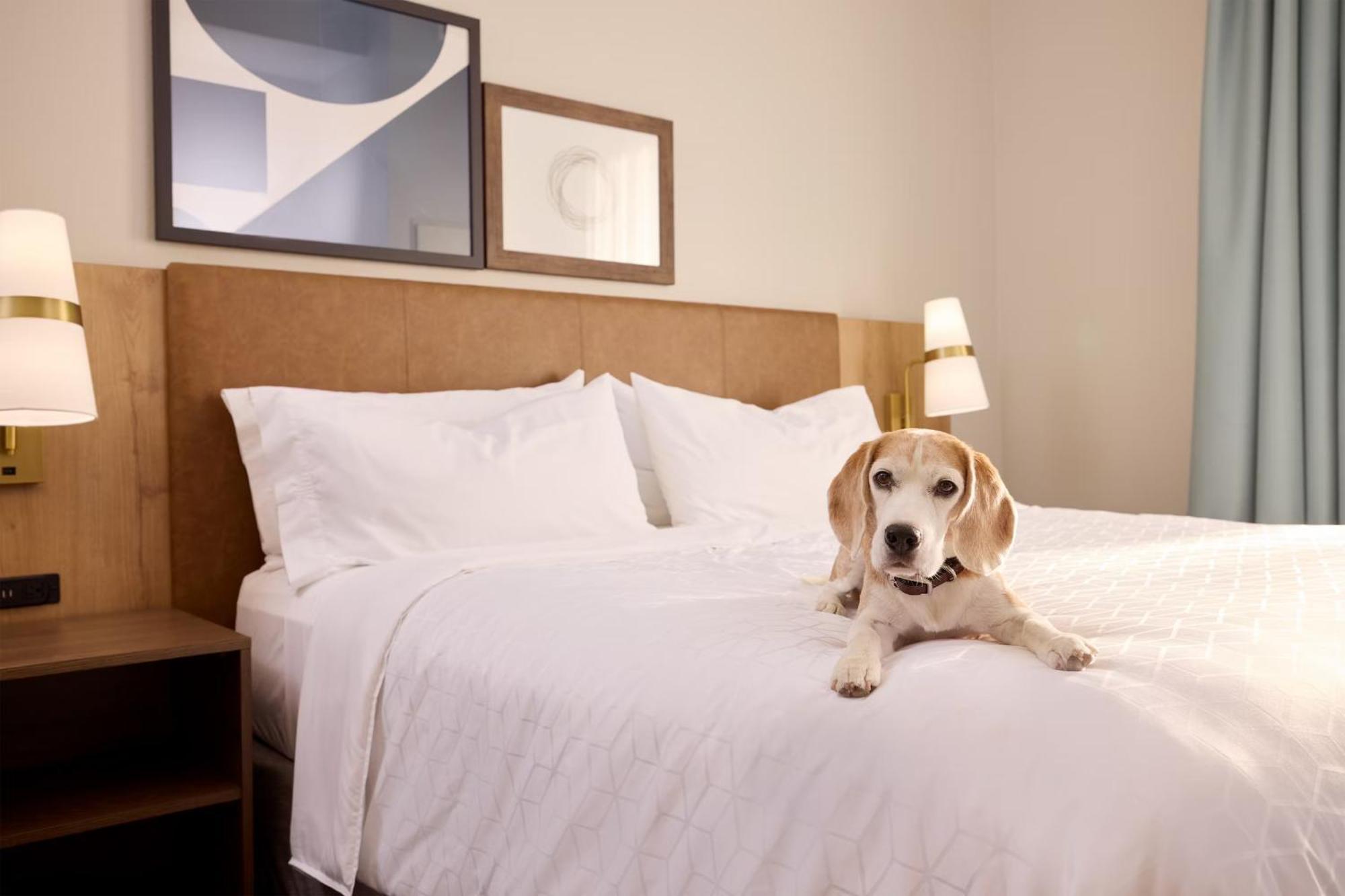 Staybridge Suites Omaha 80Th And Dodge By Ihg מראה חיצוני תמונה